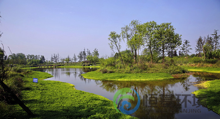 许昌人工湿地净化系统